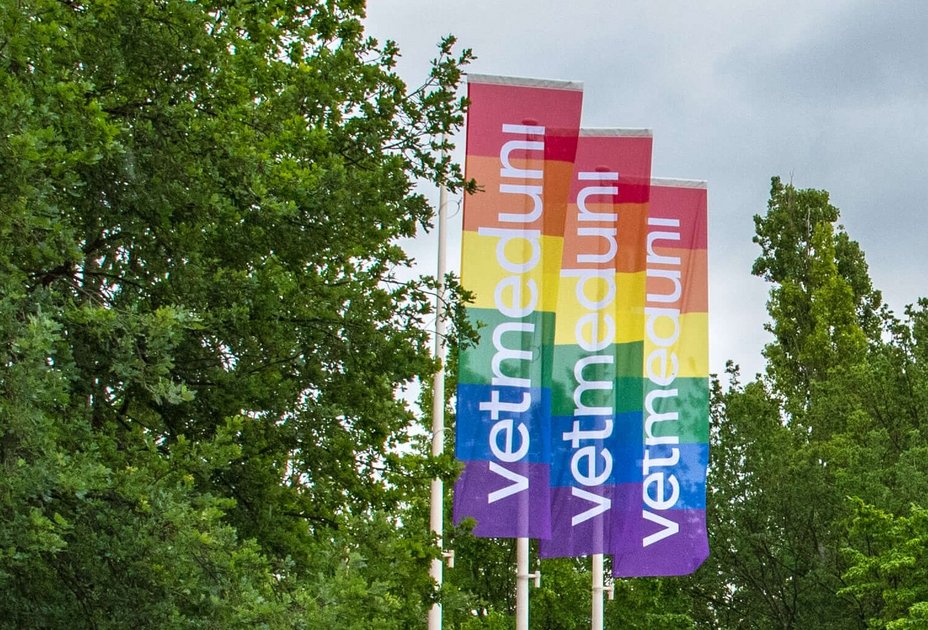 Ein Zeichen für Toleranz und Vielfalt: Die Vetmeduni zeigt Flagge und setzt sich damit für die Gleichberechtigung aller Menschen ein. Foto: Stephanie Scholz/Vetmeduni Ein Zeichen für Toleranz und Vielfalt: Die Vetmeduni zeigt Flagge und setzt sich damit für die Gleichberechtigung aller Menschen ein. Foto: Stephanie Scholz/Vetmeduni