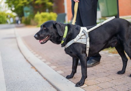 Foto: Thomas Suchanek/Vetmeduni