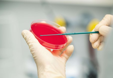 Foto: Thomas Suchanek/Vetmeduni