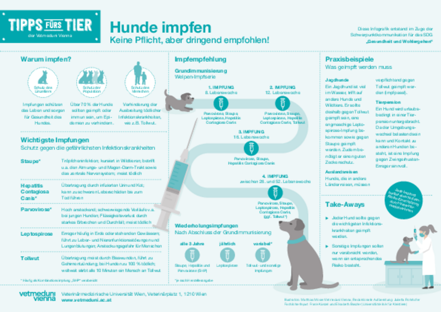 Infografik Tipps fürs Tier: Hunde impfen - Keine Pflicht, aber dringend empfohlen! Illustration: Matthias Moser/Vetmeduni Vienna