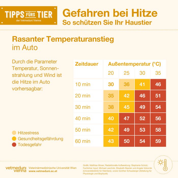 Abb. 2: Durch die Parameter Temperatur, Sonnenstrahlung und Wind ist die Hitze im Auto vorhersagbar. Grafik: M. Moser/Vetmeduni Vienna