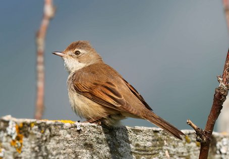 Photo: shutterstock
