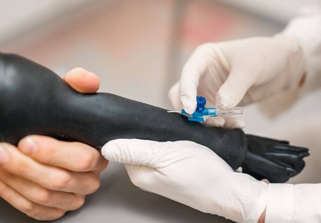 Blutabnahme am Hunde-Dummy