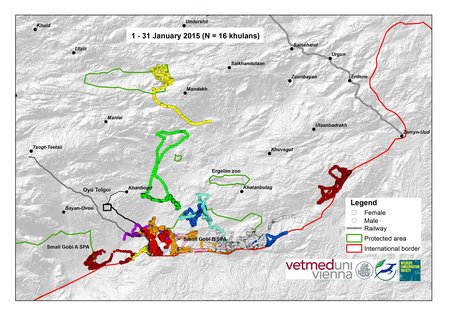 Karte von Khulan-Bewegungen Januar 2015