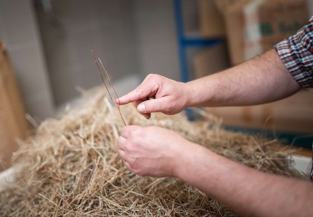  Heu mit rotbraunen Teilen des Johanniskrauts.