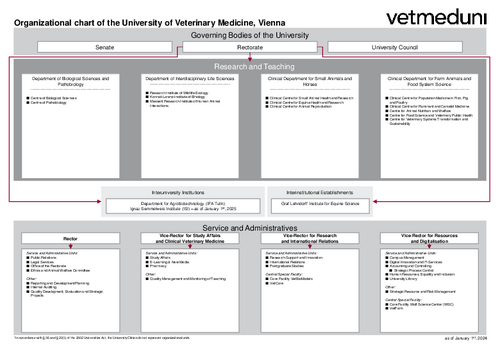 Organizational chart of the University 2024