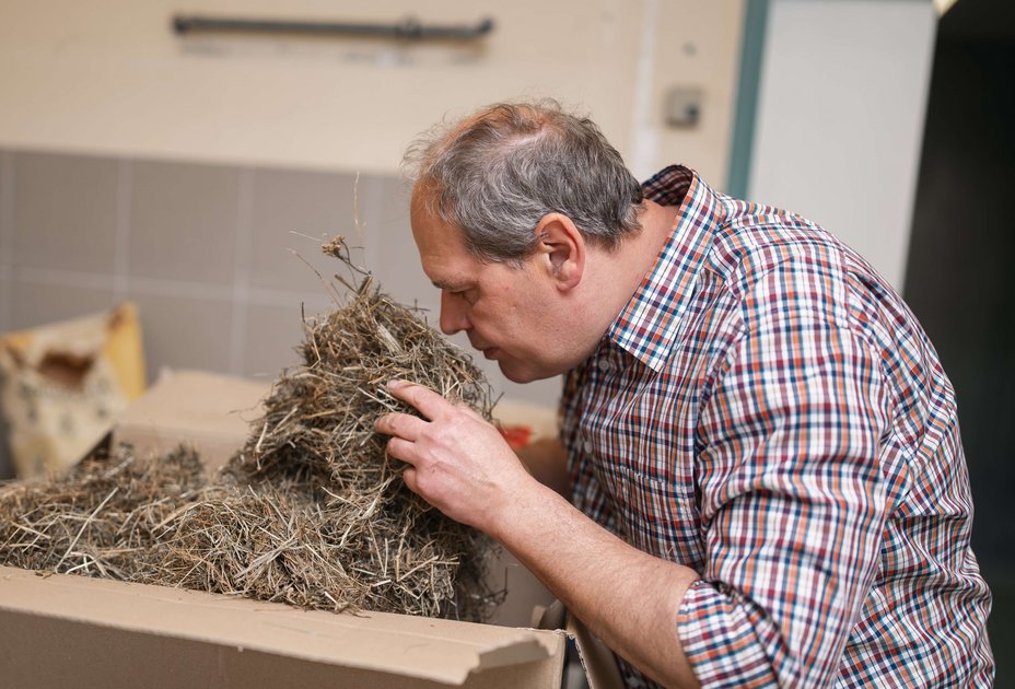 Manfred Hollmann riecht am Heu