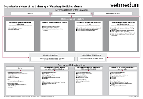 Organizational chart of the University 2025