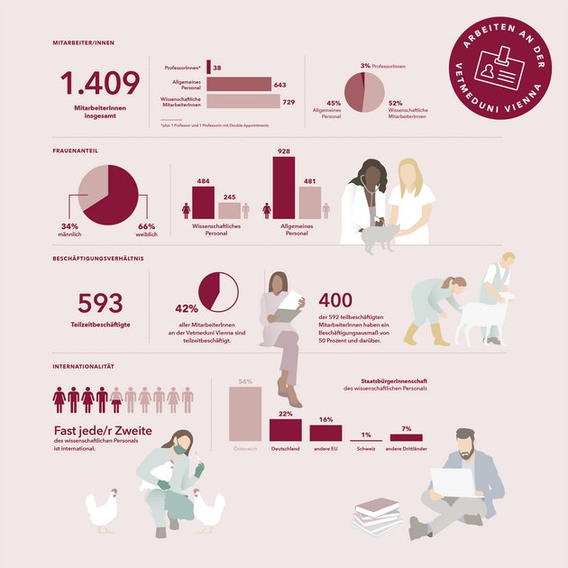 Infografik Vetmeduni Vienna als Arbeitgeberin