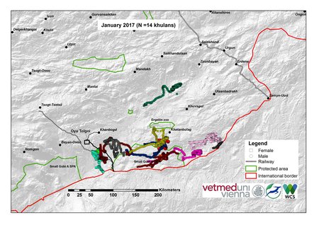 Map of khulan movements in January 2017