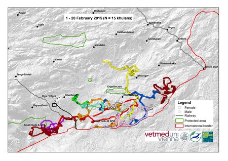Map of Khulan movements in February 2015