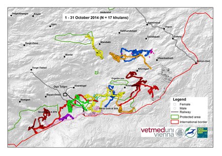 Map of wild ass movements in May 2014