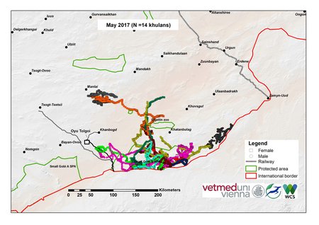map of khulan movements in May 2017