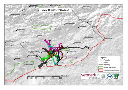 Map of khulan movements June 2016