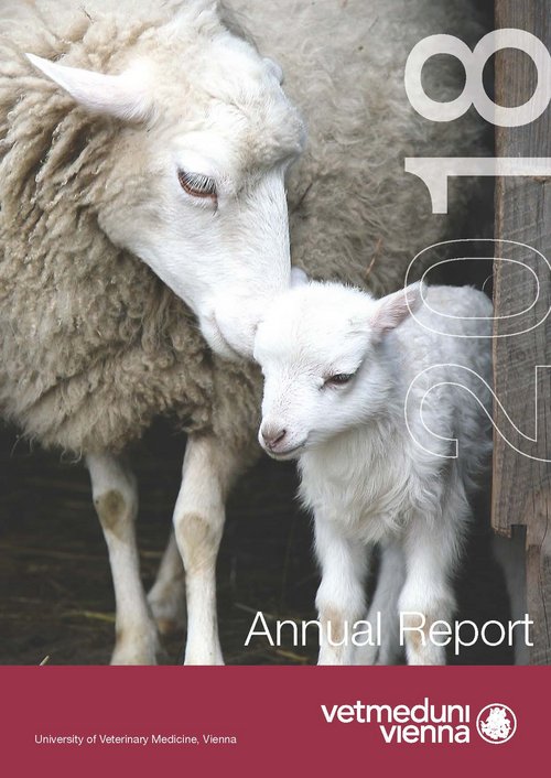 Annual Report 2018