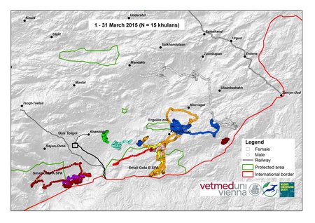 Map of Khulan movements in March 2015