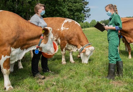 Foto: Michael Bernkopf/Vetmeduni