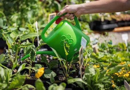 Gießkanne im Garten