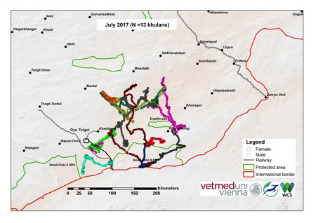 Map of khulan movements in July 2017