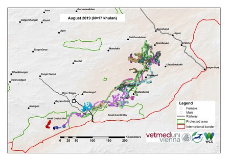 Karte von Khulan Bewegungen im August 2019