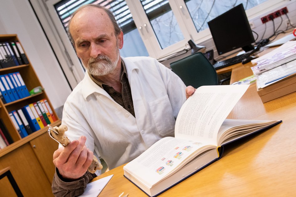 Tierforensik: Martin Reifinger erstellt anhand von Beweismaterial Gutachten bei tierschutzrelevanten Verdachtsfällen. Foto: Michael Bernkopf/Vetmeduni Vienna
