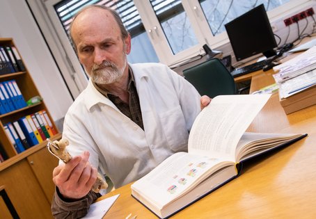 Tierforensik: Martin Reifinger erstellt anhand von Beweismaterial Gutachten bei tierschutzrelevanten Verdachtsfällen. Foto: Michael Bernkopf/Vetmeduni Vienna