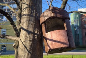 Vogelnistkasten an Baum