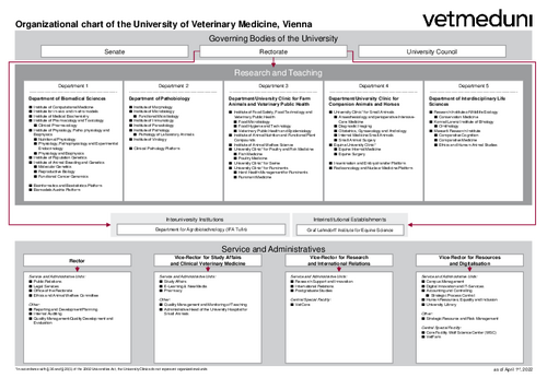 Organizational chart of the University 2022