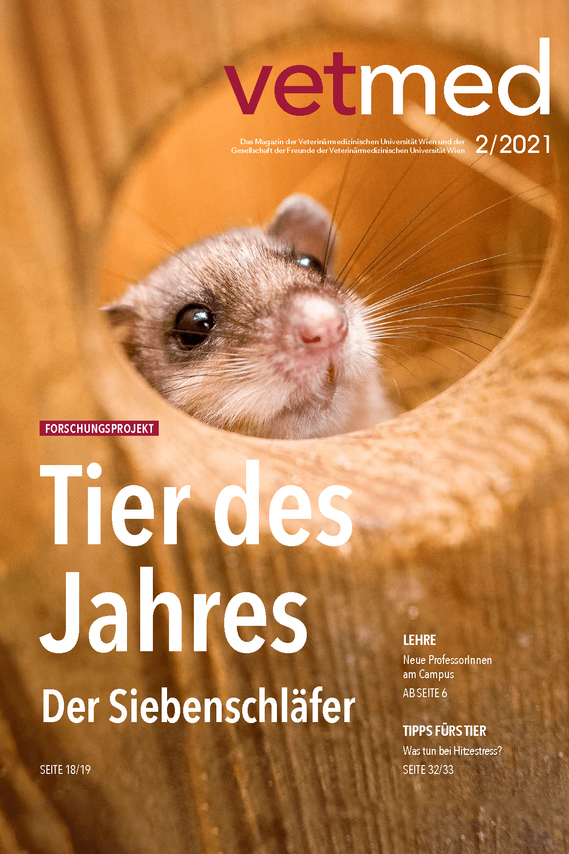 Cover of the Vetmeduni Magazine with a dormouse