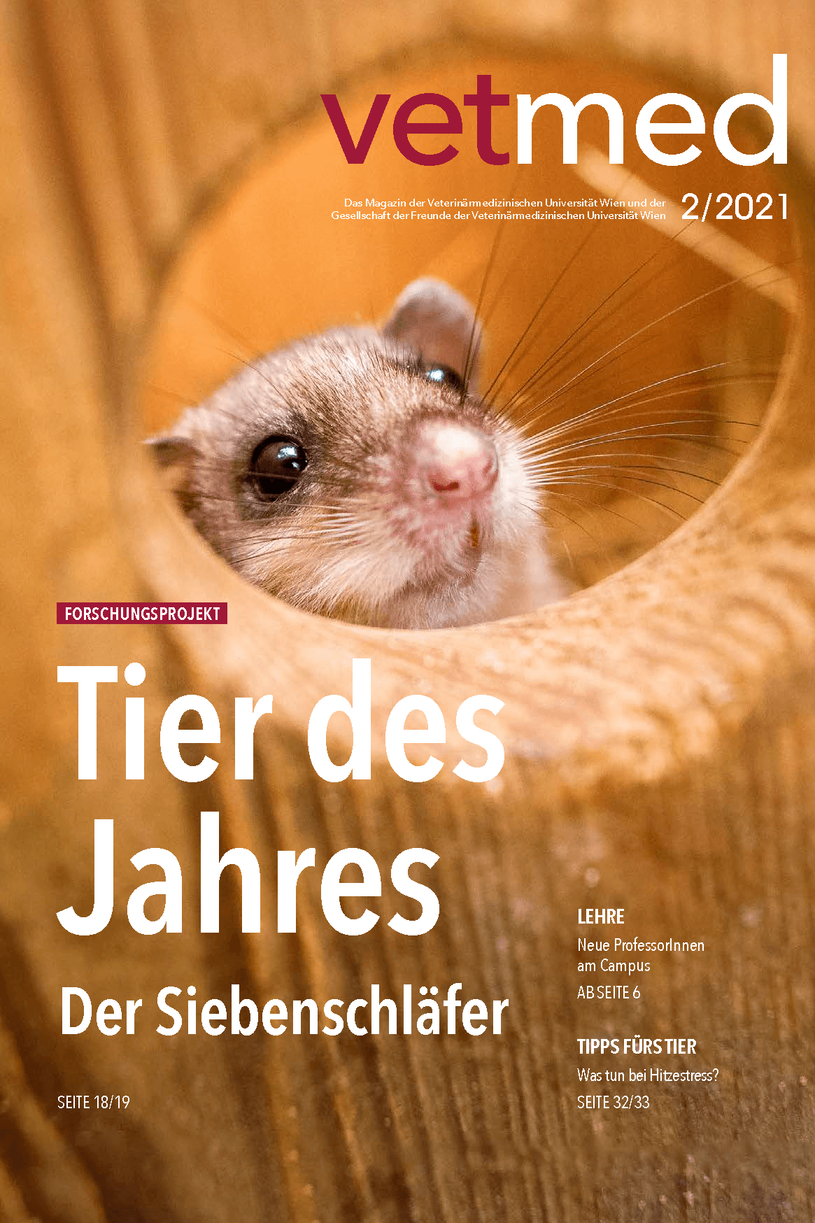 Cover des Vetmed Magazins 02.2021, ein Siebenschläfer in einer Nestbox