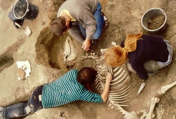 Archeolog:innen legen einen Fund frei