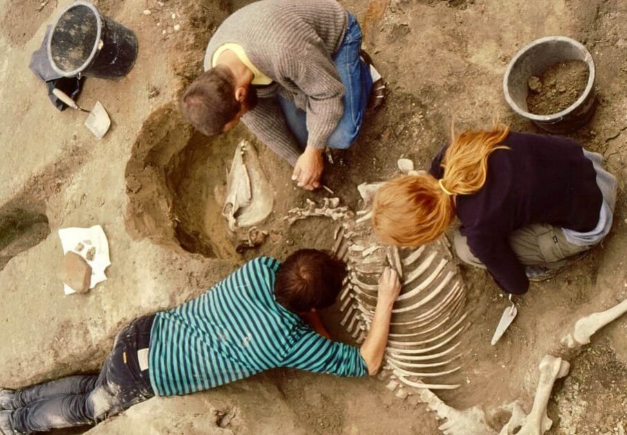 Archeolog:innen legen einen Fund frei