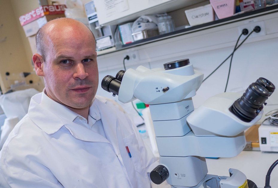 GMO-Fachmann: Genetik war schon in der Schule Maik Dahlhoffs Leidenschaft und so entschied er sich im Studium letztlich für dieses Fachgebiet. Foto: M. Bernkopf/Vetmeduni Vienna