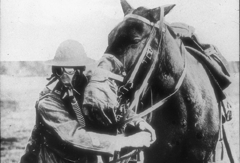 Soldat und Pferd mit Gasmaske