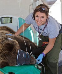 Foto der Tierärztin Johanna Painer mit einem Braunbären in Narkose