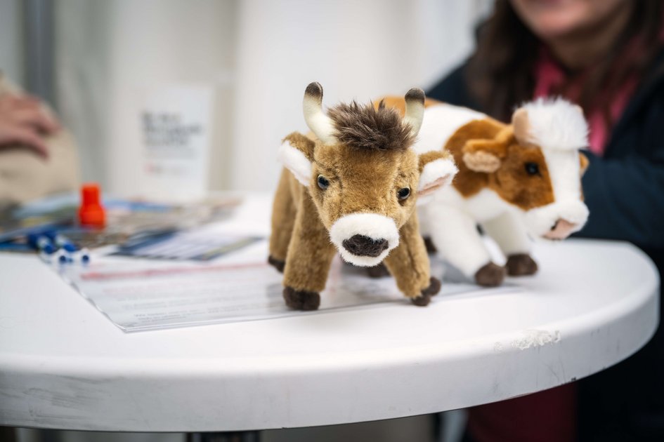 Lange Nacht der Forschung 2024, HOLSTEIN Stand, Heldenplatz 1010.