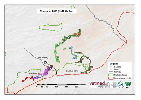 [Translate to English:] Karte von Kulan Bewegungen im November 2019