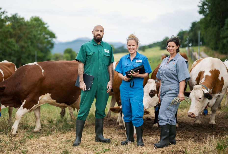 Forschung nah am Tier: Muhittin Tekin, Karen Wagener und Elisabeth Hausmann pendeln auf der VetFarm Kremesberg zwischen Labor, Stall und Weide. Foto: Thomas Suchanek/Vetmeduni