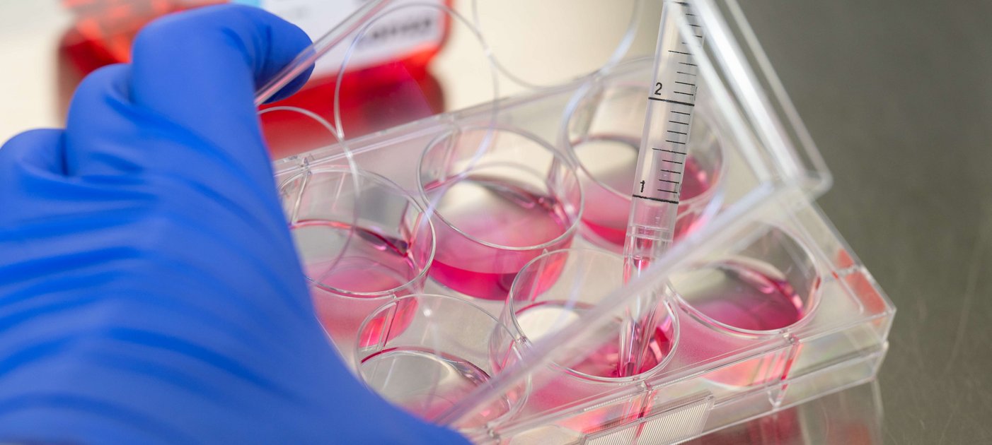 Großaufnahme Hände mit Pipette