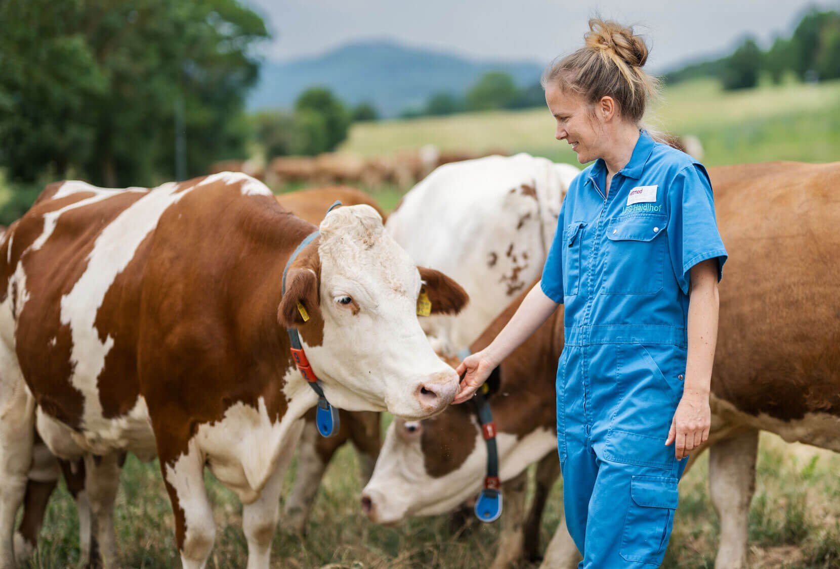 Karen Wagener mit Rindergruppe auf der Vetfarm