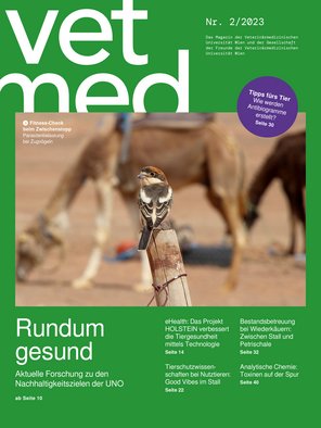 02/2023: Rundum gesund