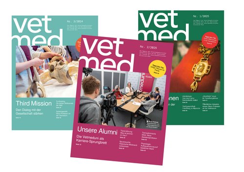 Vetmed-Magazin-Cover
