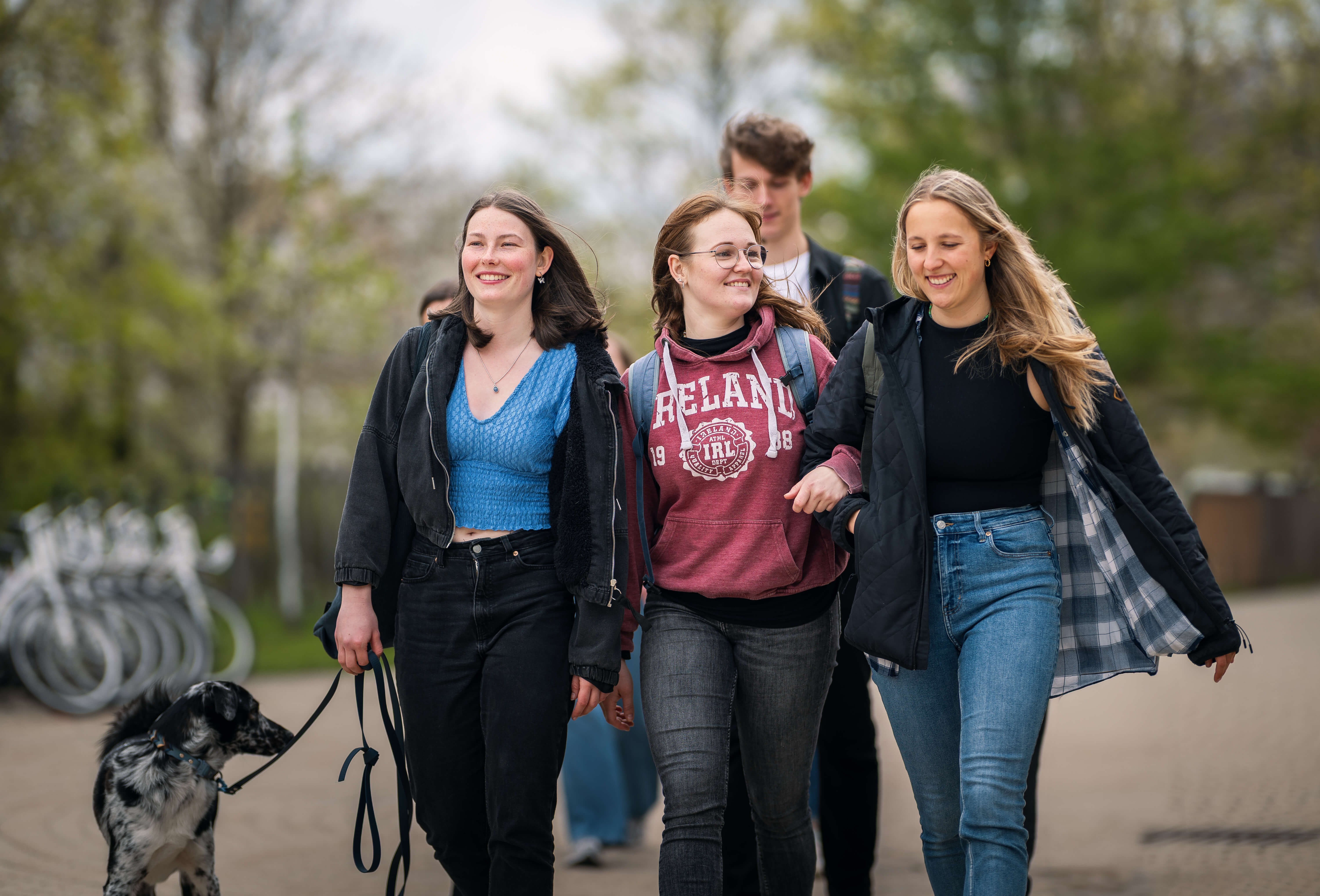 4 Studierende gehen mit Hund spazieren