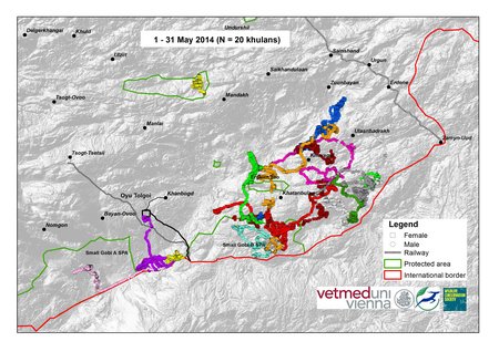 Map of wild ass movements in May 2014