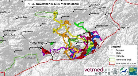 Map of wild ass movements in November 2013
