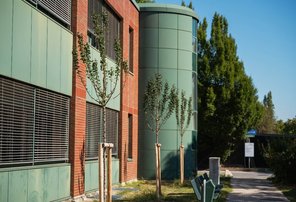 Baumbepflanzung am Campus der Vetmeduni