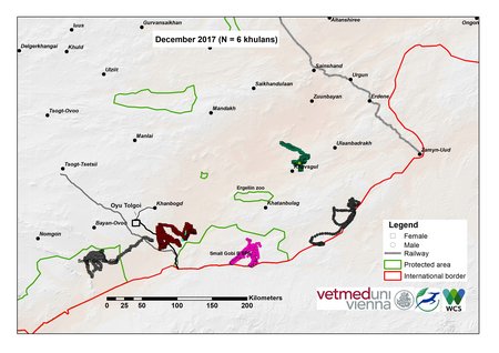 Map of khulan movements in December 2017