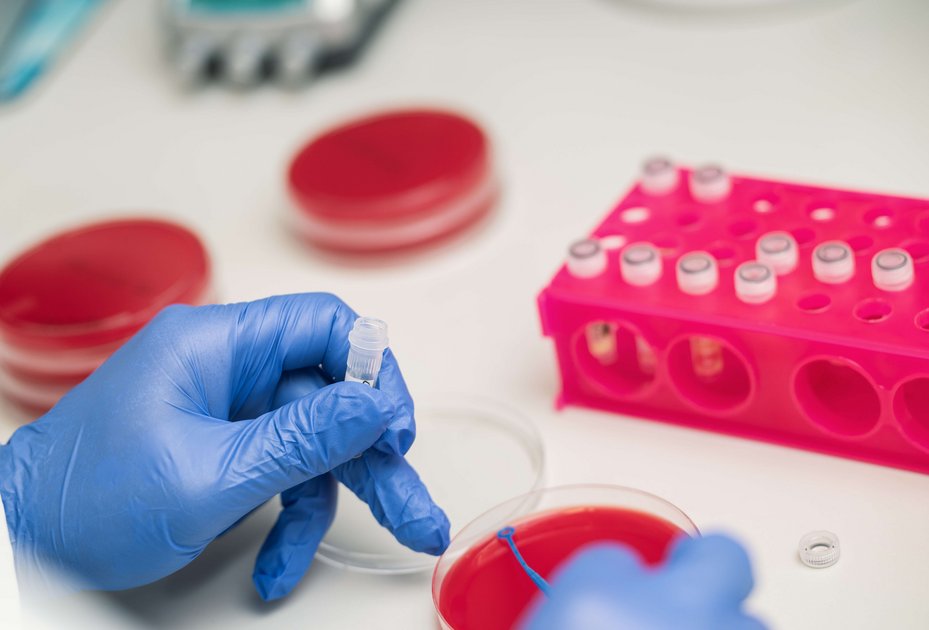 Close-up of Petri dish and sample tubes in laboratory
