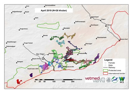 Map of khulan movements in April 2019
