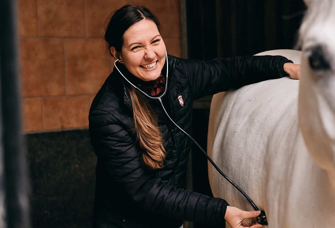 Sophia Sommerauer listens to Lipizzaners with a stethoscope